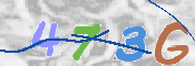 この文字を入力してください
