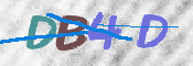 この文字を入力してください