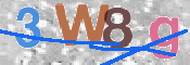 この文字を入力してください