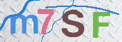 この文字を入力してください