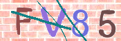 この文字を入力してください