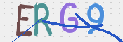 この文字を入力してください